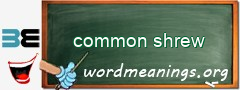 WordMeaning blackboard for common shrew